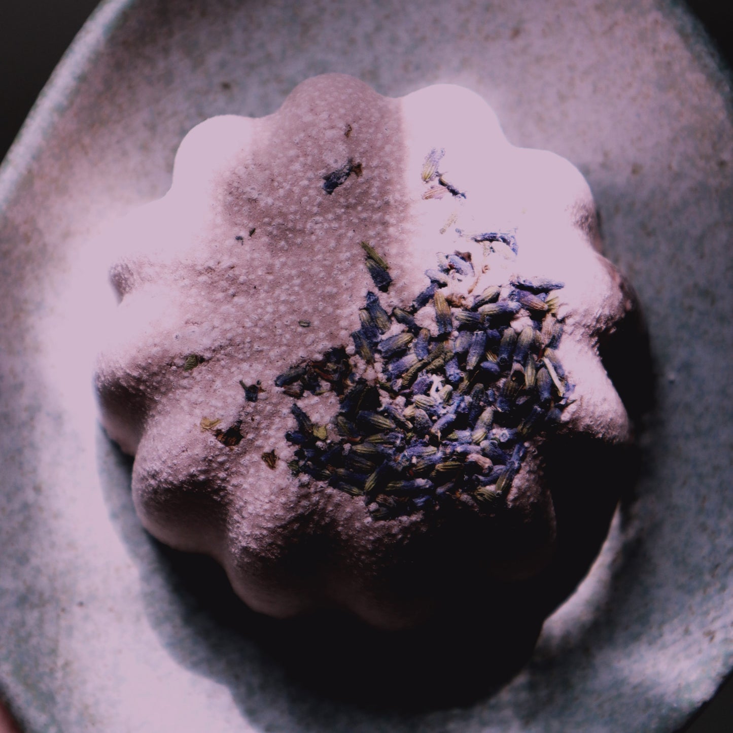 Lavender Fields