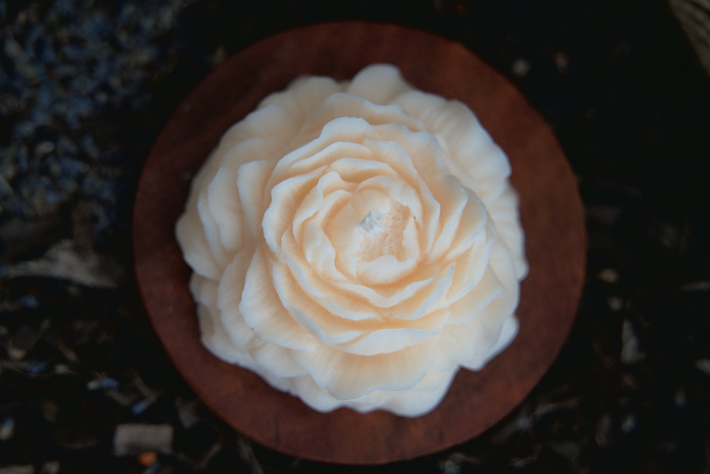 Penny - Peony Flower