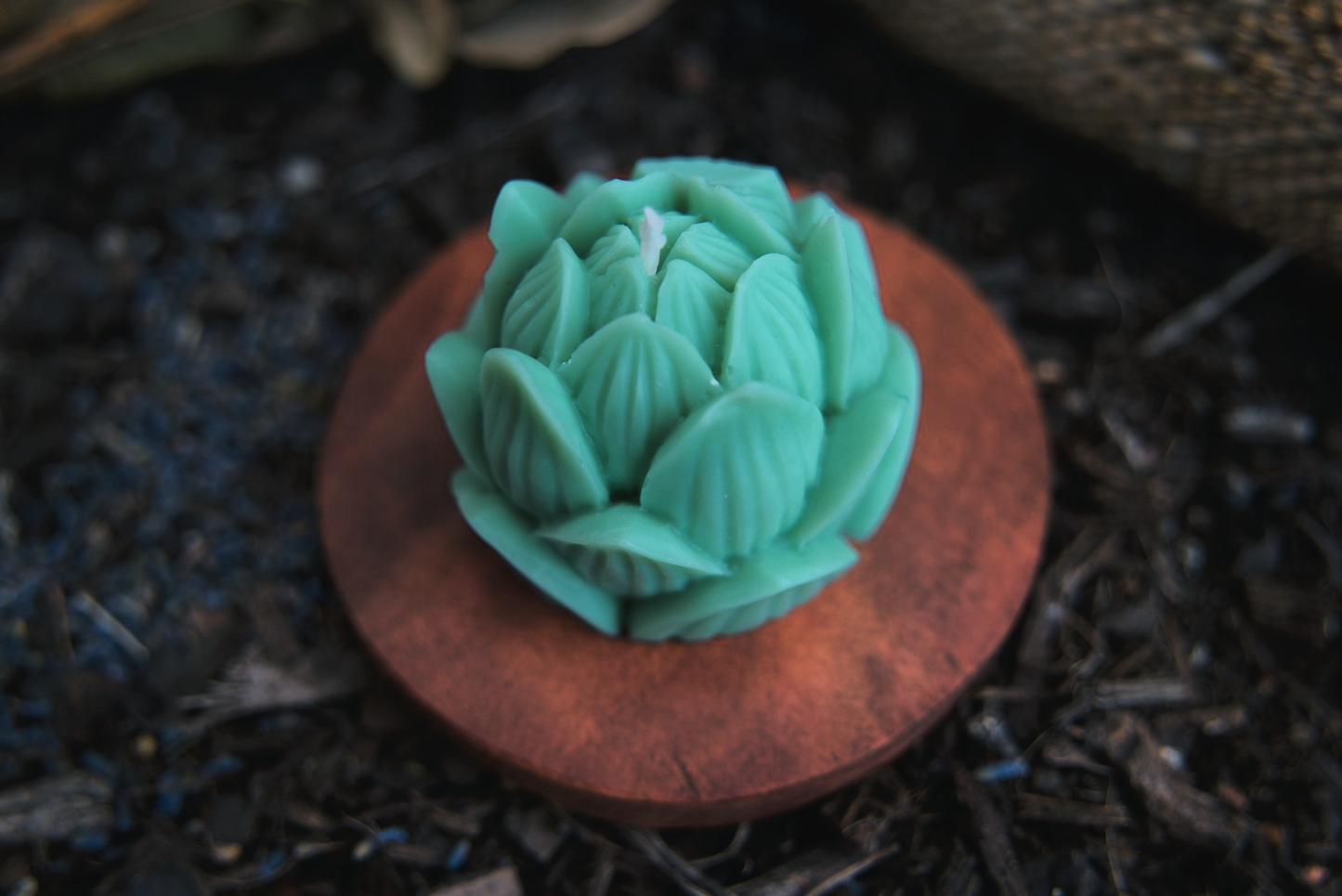 Corra Lynn - Lotus Flower